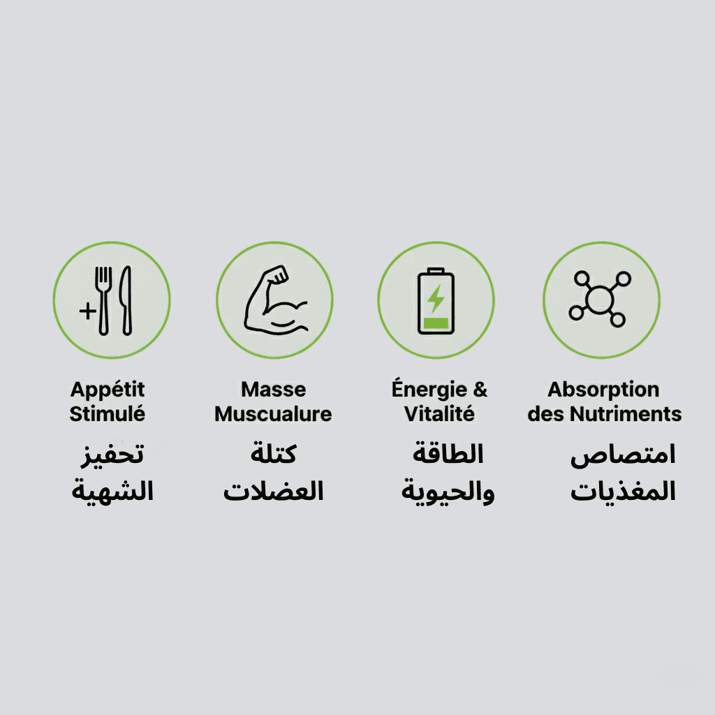 Flacon du complément alimentaire prise de poids Maroc WeightGain Pro sur une table en bois avec ses ingrédients naturels.