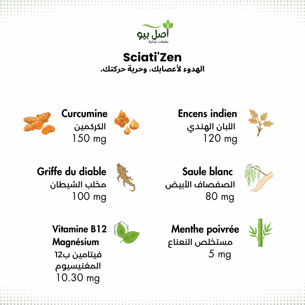 Sciati'Zen - complément confort sciatique Dynamique pour le soutien lombaire - 30 Capsules Sciati'Zen - complément confort sciatique Dynamique pour le soutien lombaire - 30 Capsules