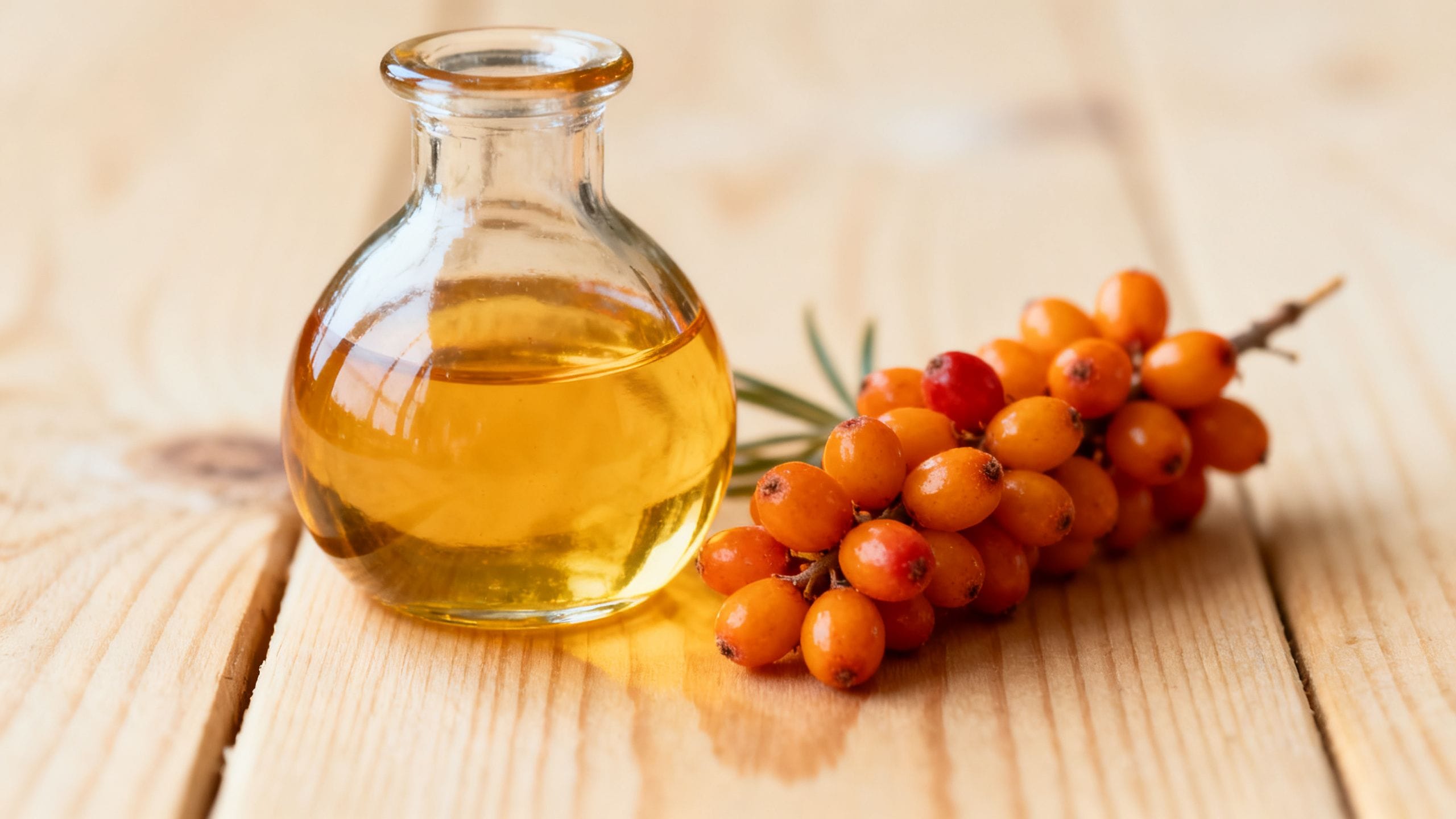 Huile d’argousier, amie de la peau